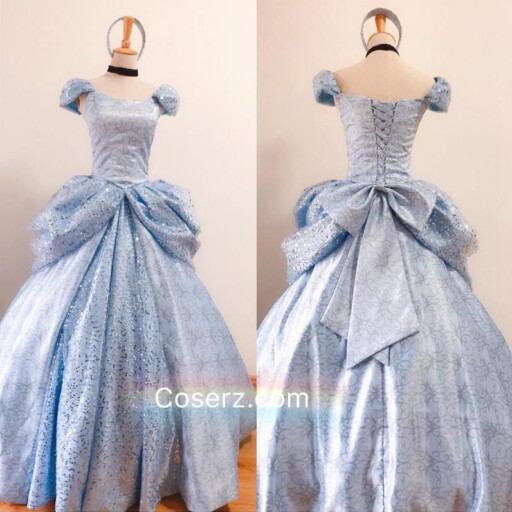 Top 5 Adult Cinderella Dress Disney Cartoon Version