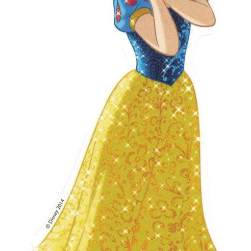 Top 5 Disney Snow White Costume